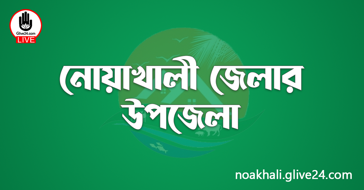 নোয়াখালী জেলার উপজেলা