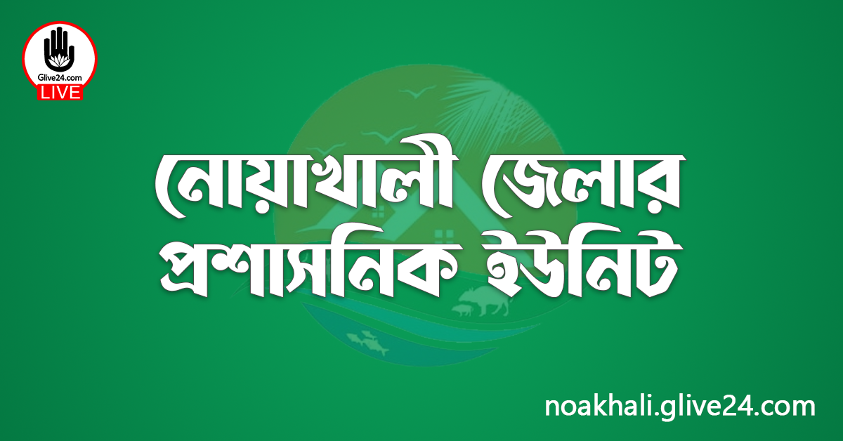 নোয়াখালী জেলার প্রশাসনিক ইউনিট