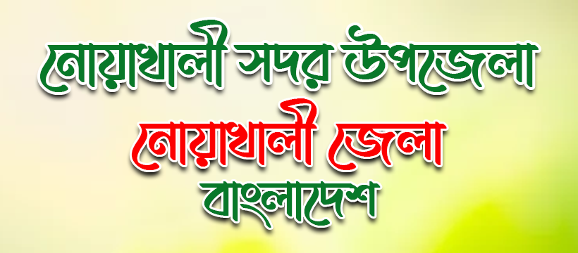 নোয়াখালী সদর উপজেলা