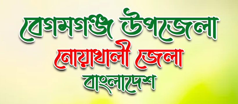 বেগমগঞ্জ উপজেলা