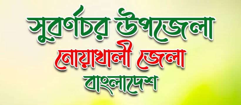 সুবর্ণচর উপজেলা