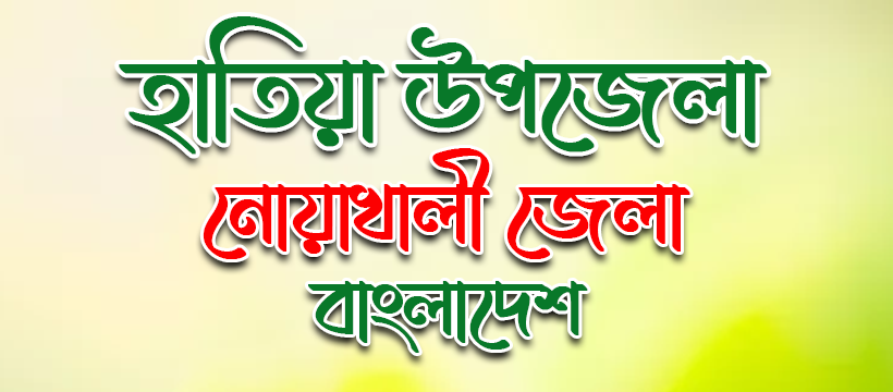 হাতিয়া উপজেলা